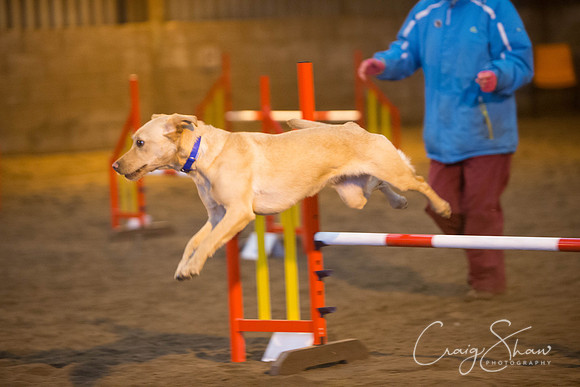 124_springfling2015_bluplanetphoto