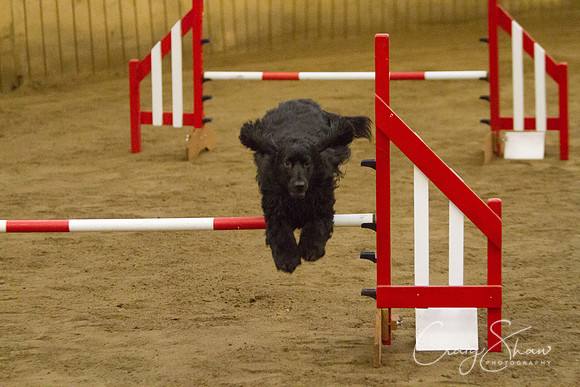 spring fling 2012-867
