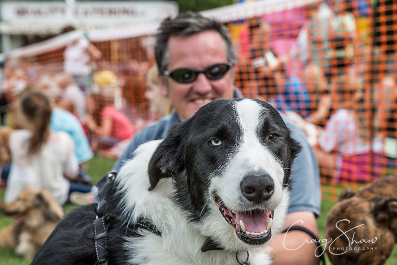 1567_K9Partyinthepark2014_RSPCAHalifax_bluplanetphoto