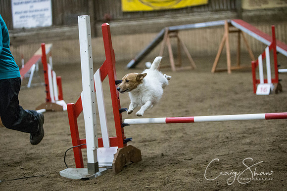 1652_springfling2015_bluplanetphoto