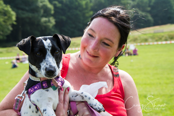 RSPCA Dog Day Afternoon