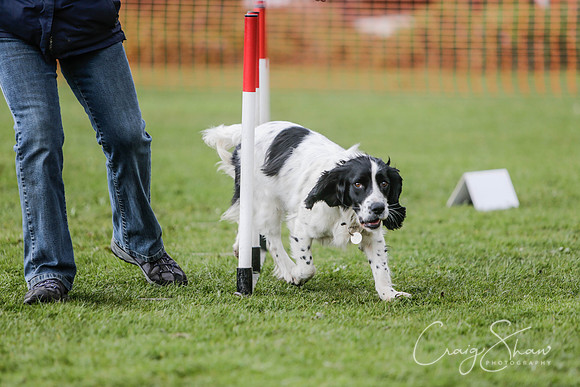 469__SpringersFunDay_March2014_bluplanetphoto