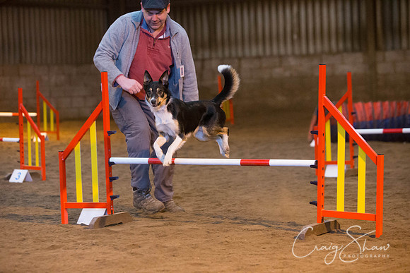 29_springfling2015_bluplanetphoto