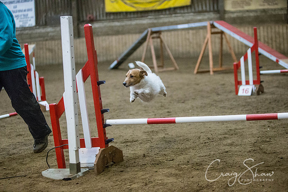 1651_springfling2015_bluplanetphoto