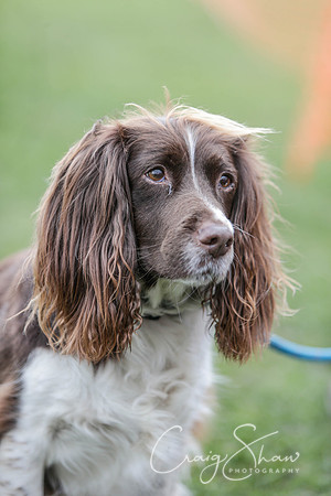 417__SpringersFunDay_March2014_bluplanetphoto