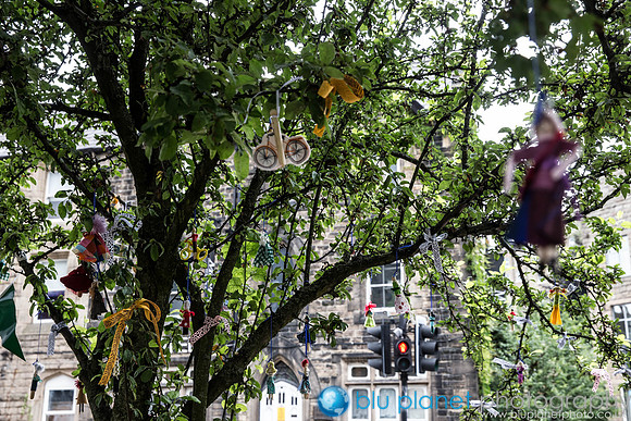 697_HBAF2014_Friday27thJune_craigshawphoto
