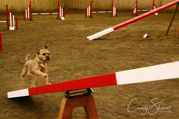 spring fling 2012-1050