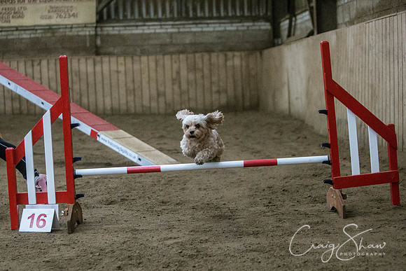 1564_springfling2015_bluplanetphoto