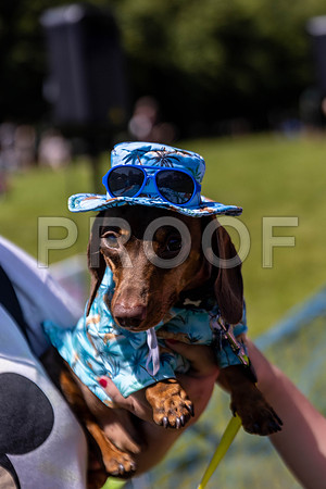 1709__PAWSFundogShow_July2022_cshaw