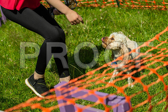 2688__PAWSFundogShow_July2022_cshaw