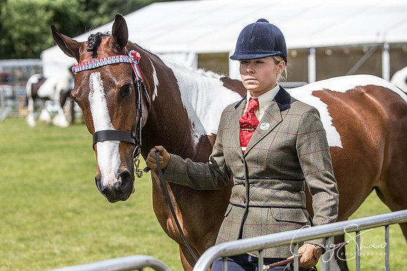 339_TodAgriculturalShow2014__bluplanetphoto