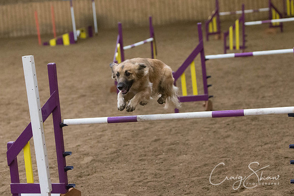 2964_SpringFling2014_bluplanetphoto