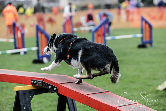299__SpringersFunDay_March2014_bluplanetphoto