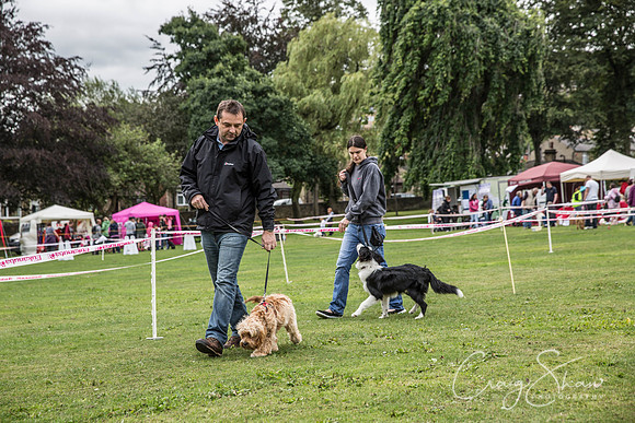 13_BarkintheParkHuddersfield_2014_bluplanetphoto