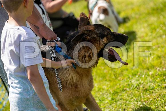 2474__PAWSFundogShow_July2022_cshaw