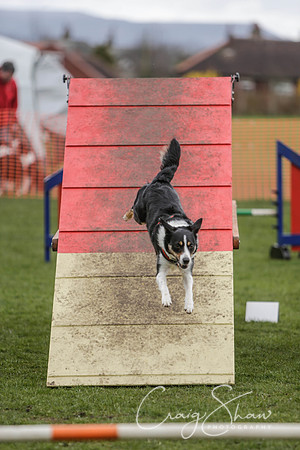 292__SpringersFunDay_March2014_bluplanetphoto