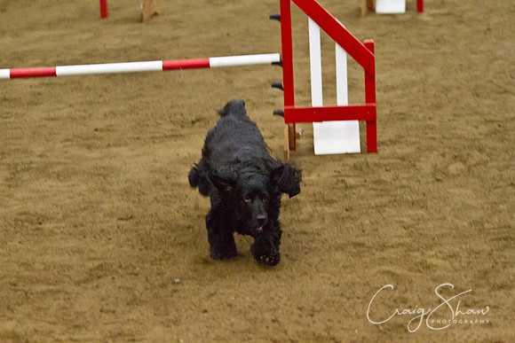 spring fling 2012-869