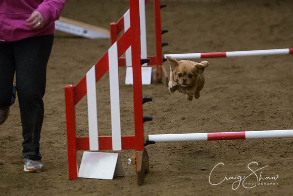 2863_springfling2015_bluplanetphoto