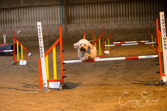 61_springfling2015_bluplanetphoto