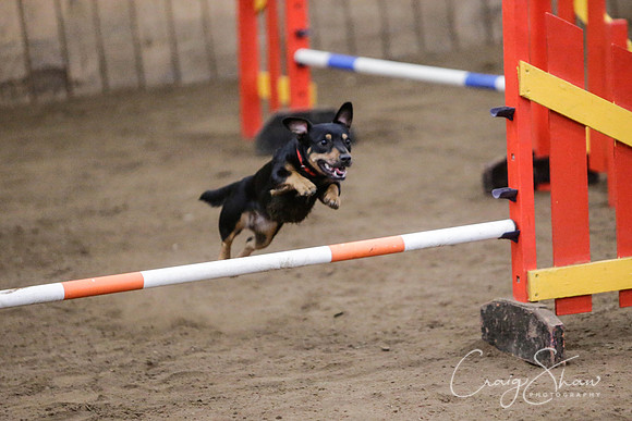87_SpringFling2014_bluplanetphoto