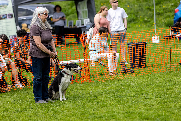 2536_HebdensHappyHounds2024_Cshaw-