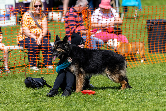 1429_HebdensHappyHounds2024_Cshaw-
