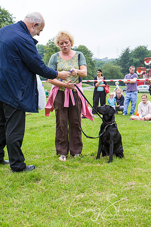 RSPCA Dog Day Afternoon