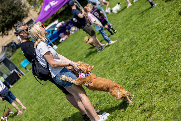 1466_HebdensHappyHounds2024_Cshaw-