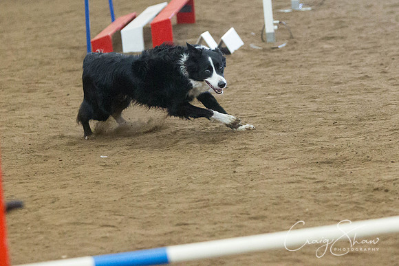 3230_SpringFling2014_bluplanetphoto