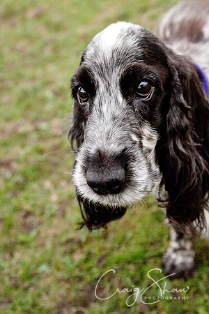 spring fling 2012-2474