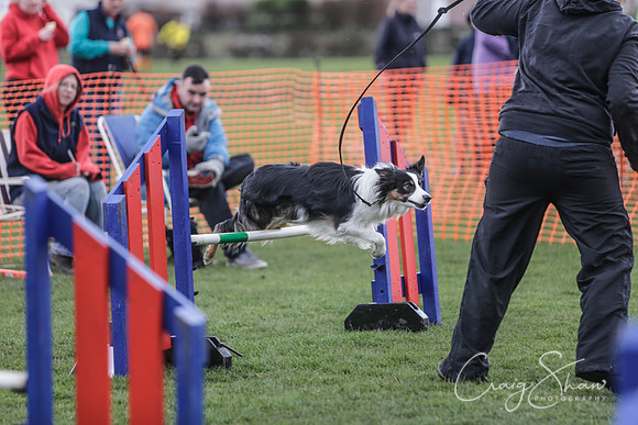 338__SpringersFunDay_March2014_bluplanetphoto