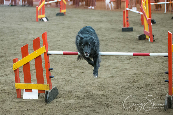 1582_springfling2015_bluplanetphoto