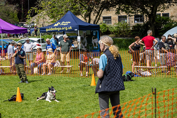 2511_HebdensHappyHounds2024_Cshaw-