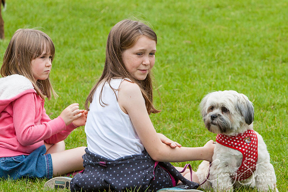 RSPCA Dog Day Afternoon