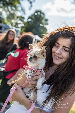 2437_K9Partyinthepark2014_RSPCAHalifax_bluplanetphoto
