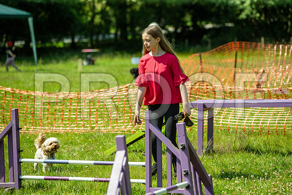 2674__PAWSFundogShow_July2022_cshaw