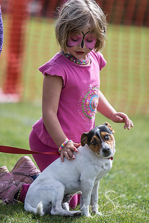 271_HebdenHappyHounds_2014_bluplanetphoto