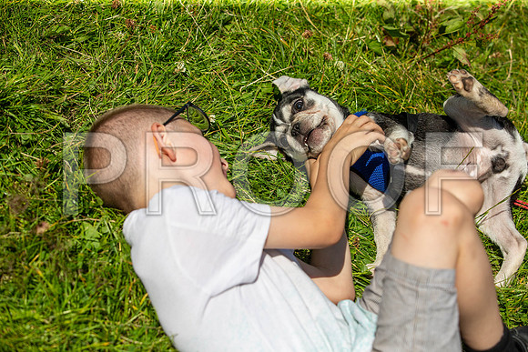2488__PAWSFundogShow_July2022_cshaw