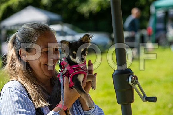 1533__PAWSFundogShow_July2022_cshaw