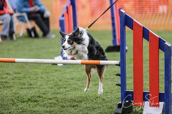 360__SpringersFunDay_March2014_bluplanetphoto