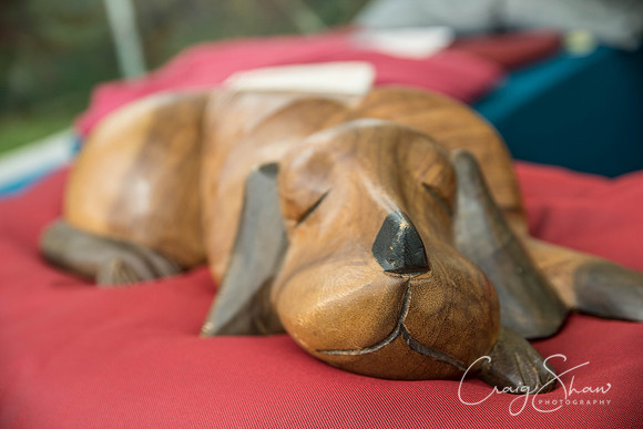 323_Woofstock2016_craigshaw
