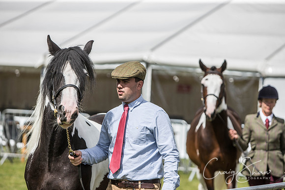 345_TodAgriculturalShow2014__bluplanetphoto