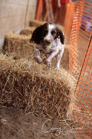 2534_SpringFling2014_bluplanetphoto