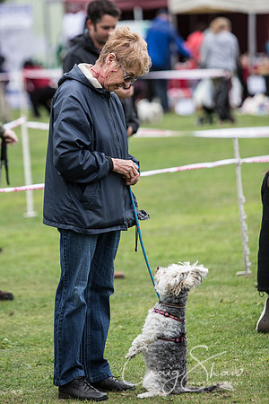 190_BarkintheParkHuddersfield_2014_bluplanetphoto