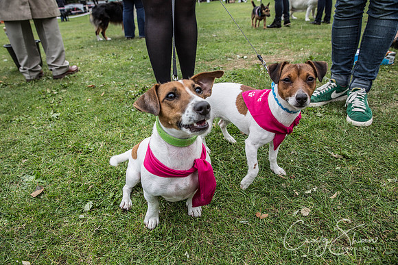 600_BarkintheParkHuddersfield_2014_bluplanetphoto