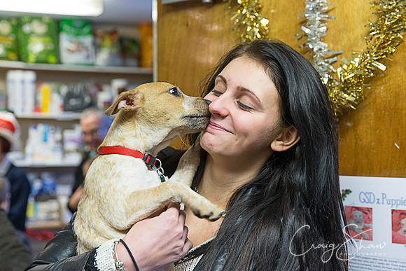 390_RSPCA_Christmas_Dec2013_bluplanetphoto-Edit