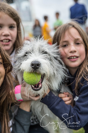 1900_Woofstock2016_craigshaw