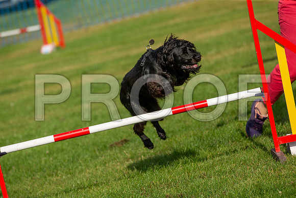 0197_SpringersFunDay2019_craigshawphoto