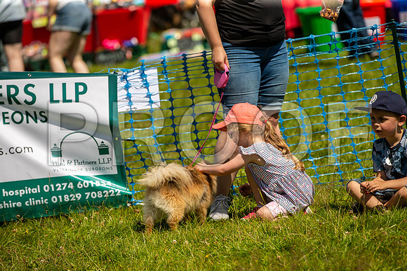 2281__PAWSFundogShow_July2022_cshaw
