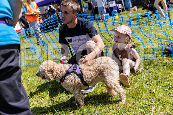 2254__PAWSFundogShow_July2022_cshaw